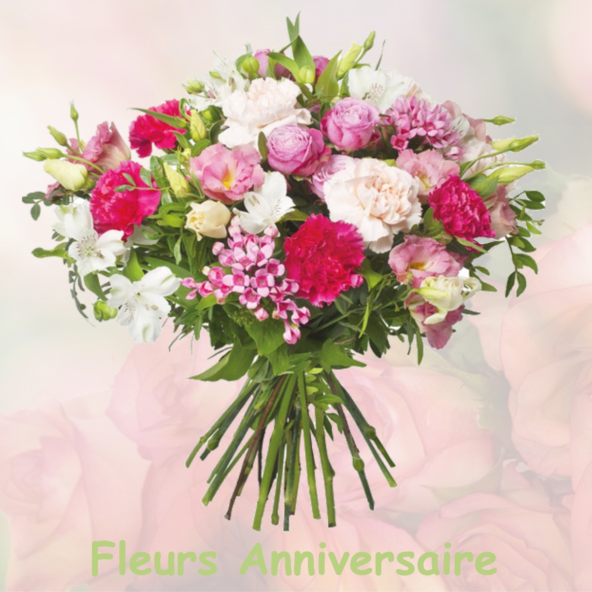 fleurs anniversaire VILLENOUVELLE