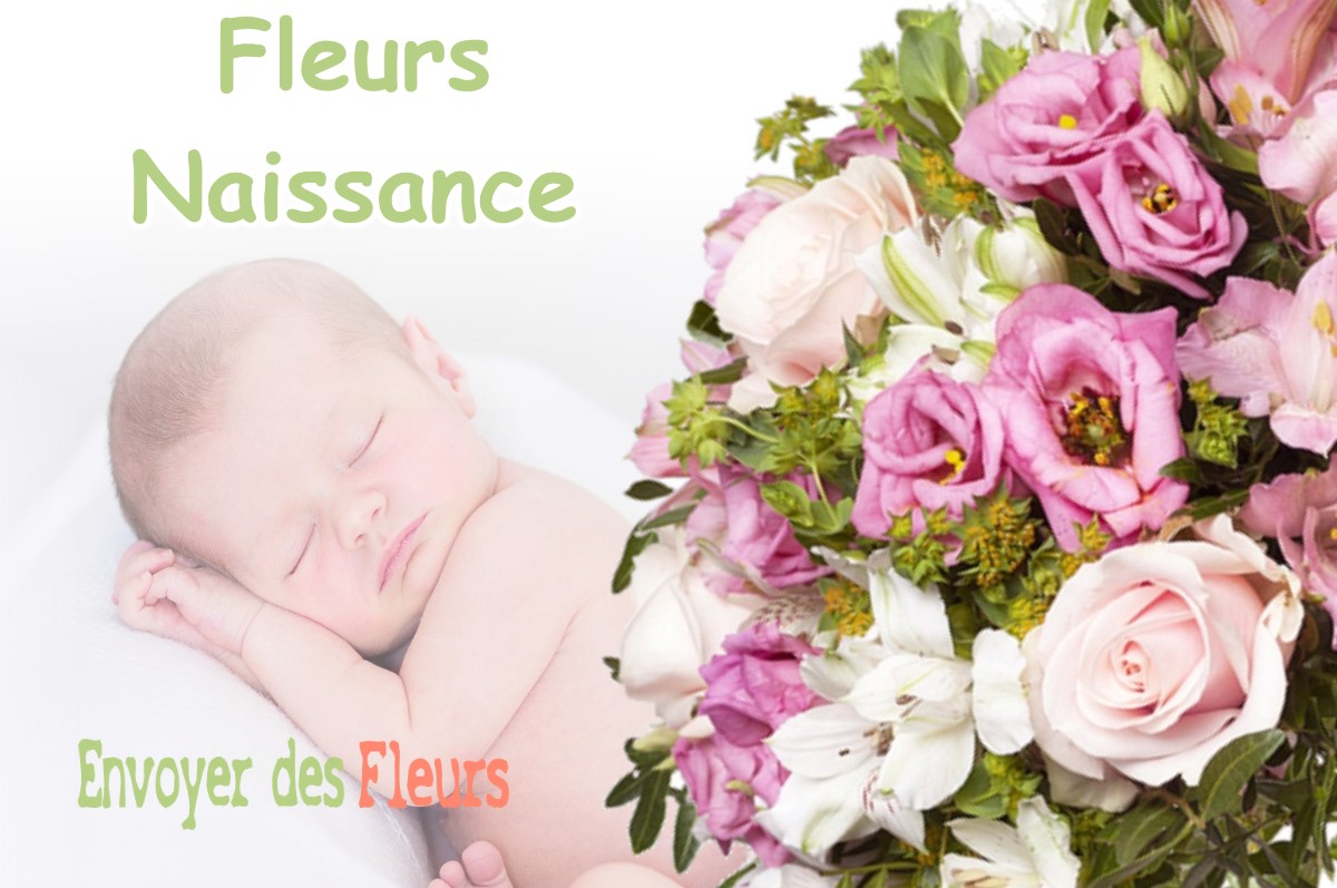 lIVRAISON FLEURS NAISSANCE à VILLENOUVELLE